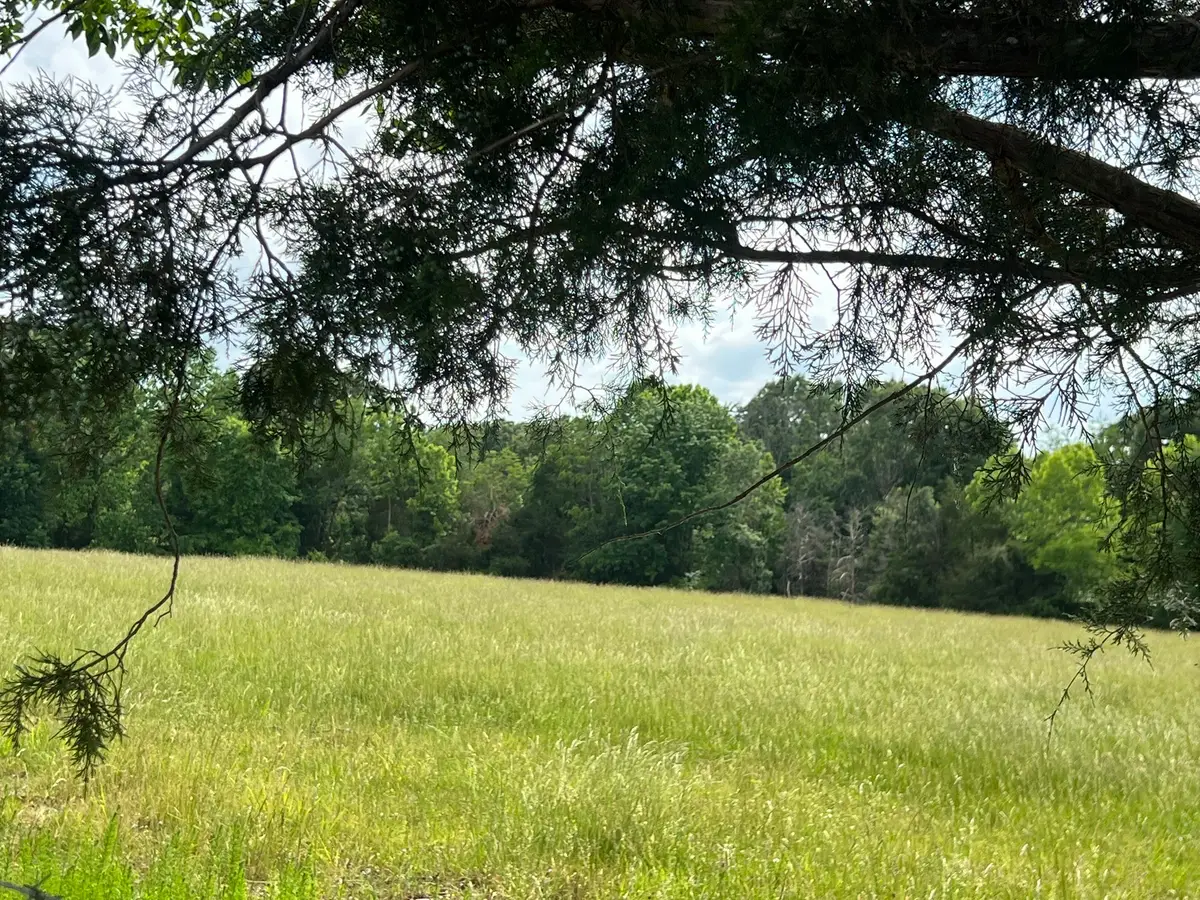 0 W George Durham Rd, Westmoreland, TN 37186 - #1