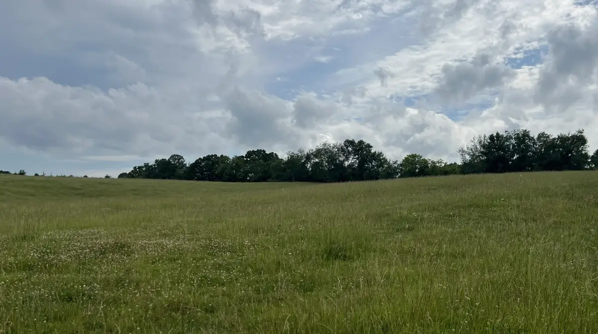 0 Bosham Rd, Westmoreland, TN 37186 - #1