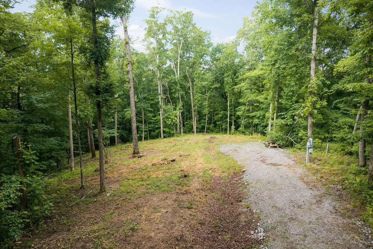 222 Witherspoon Dr, Smithville, TN 37166 - #1