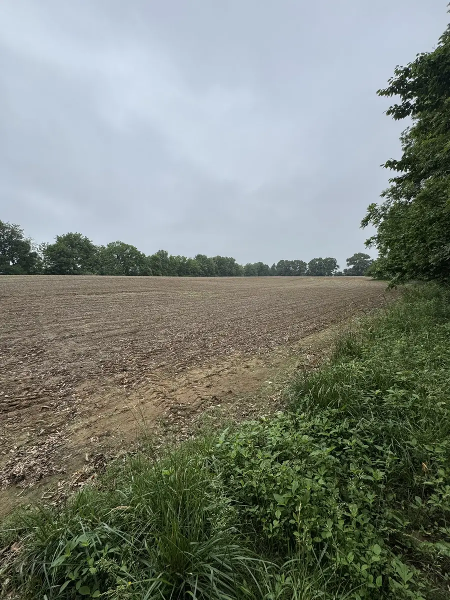 325 Harts Mill Rd, Atwood, TN 38220 - #2