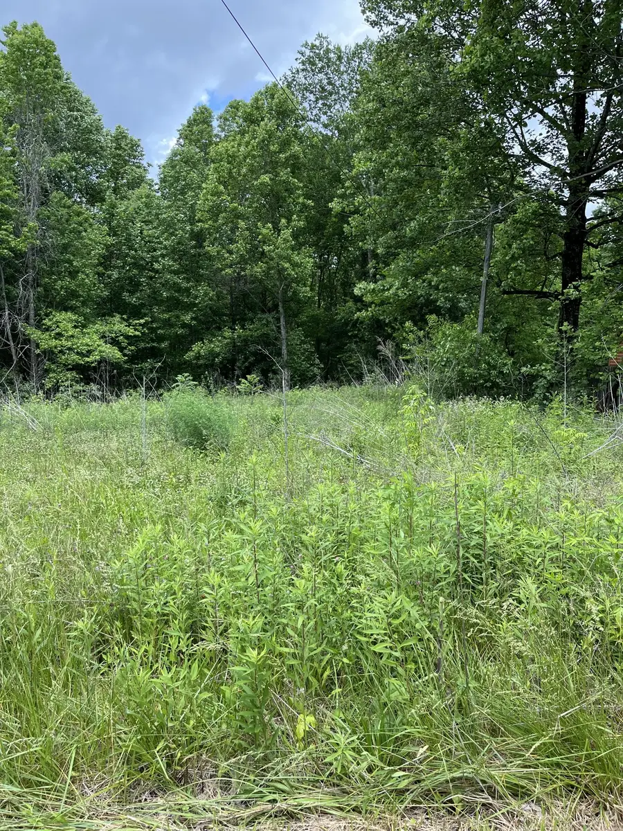 349 Fire Tower Rd, Tracy City, TN 37387 - #2