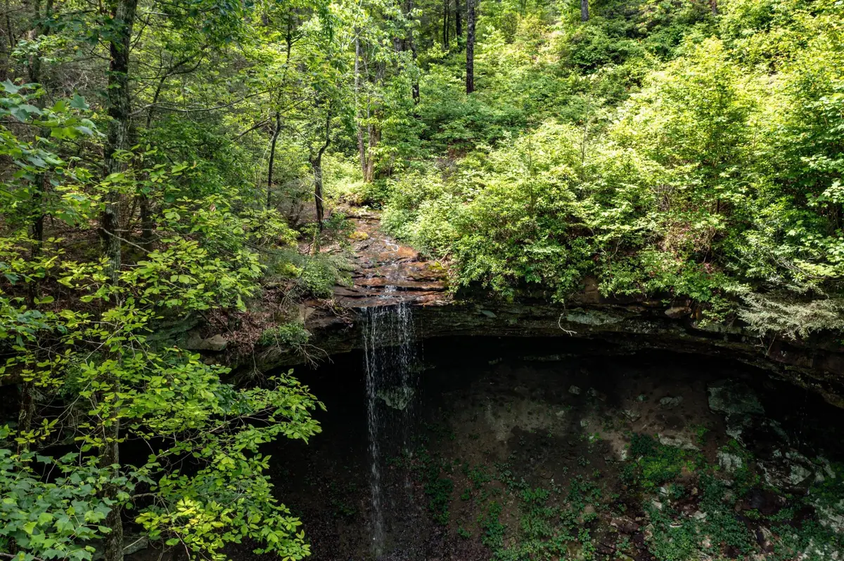 196 Big Bluff View, Pikeville, TN 37367 - #1