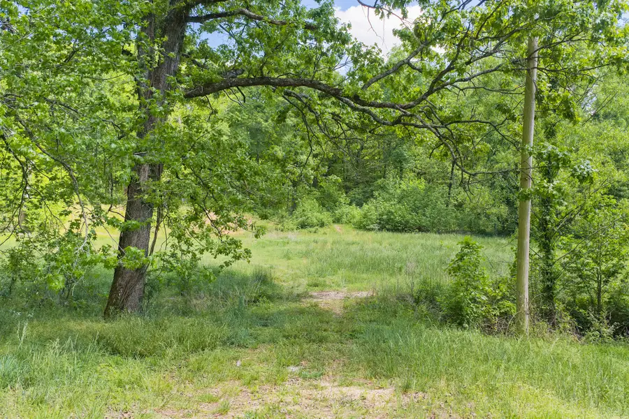 0 Red Williams Rd, Huntingdon, TN 38344 - #2