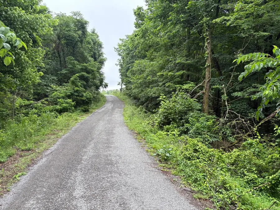 0 Ivy Hollow Rd, Mount Pleasant, TN 38474 - #2