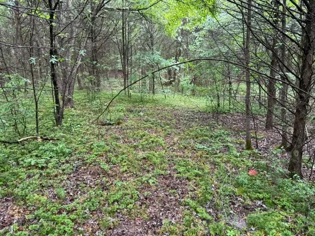 0 Freeze Rd, Morrison, TN 37357 - #1