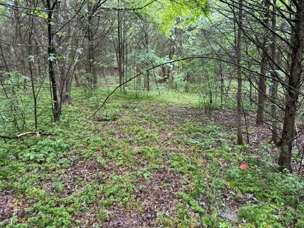 0 Freeze Rd, Morrison, TN 37357