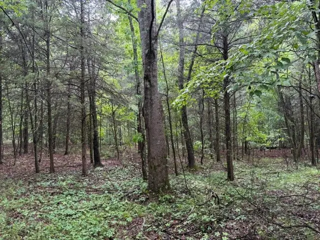 0 Freeze Rd, Morrison, TN 37357 - #2