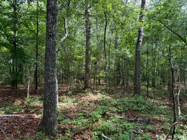 0 Smoot Rd, Morrison, TN 37357 - #2