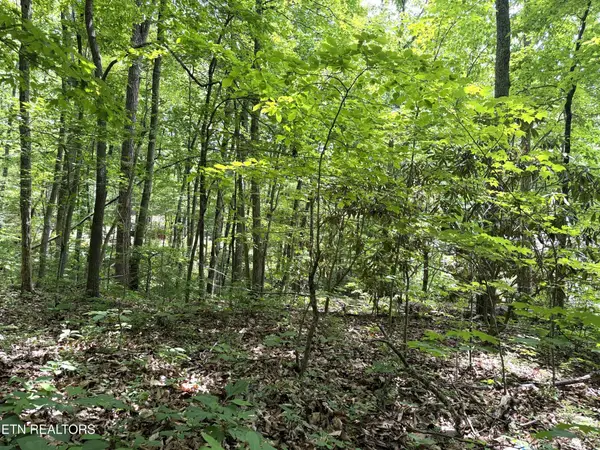 0 Swann Saddle, Sevierville, TN 37876