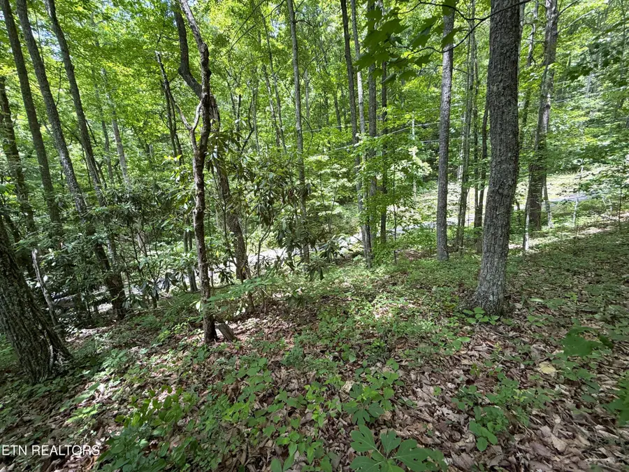0 Swann Saddle, Sevierville, TN 37876 - #2