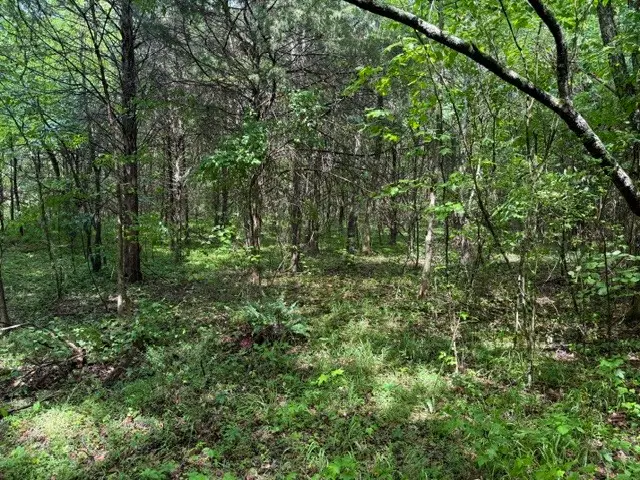 0 Teeters Rd, Morrison, TN 37357 - #2