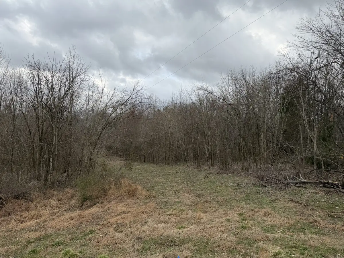 0 City Park Rd, Westmoreland, TN 37186 - #1