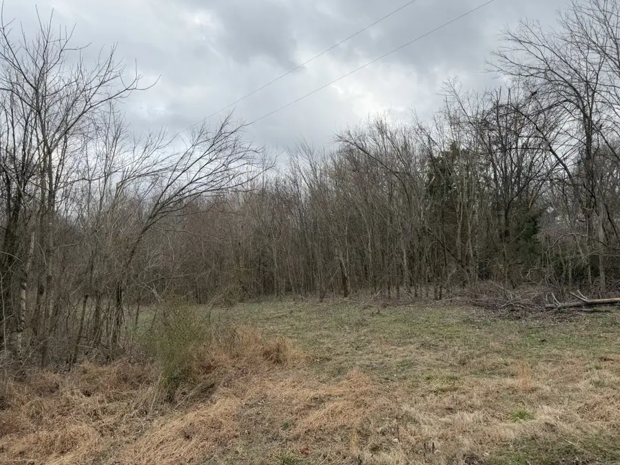0 City Park Rd, Westmoreland, TN 37186 - #2