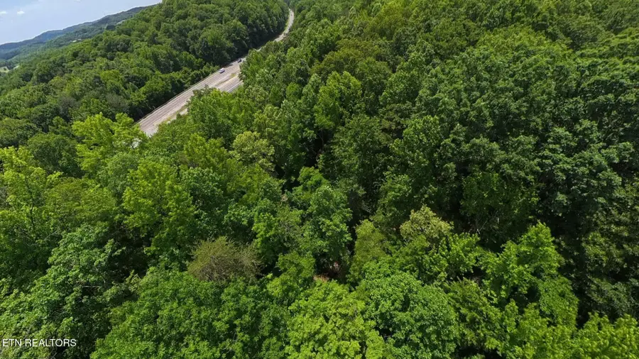 195 Sherwood Lane, Harriman, TN 37748 - #2