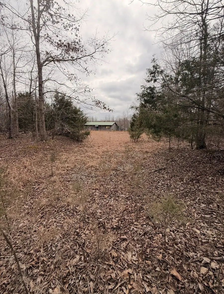 1975 Dogwood Rd, Hurricane Mills, TN 37078 - #2