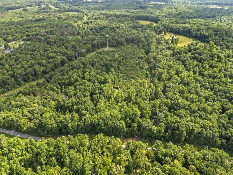 0 Crow Cut Rd, Fairview, TN 37062 - #2