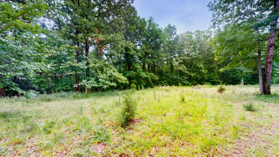 0 Little Hurricane Creek, Mc Ewen, TN 37101 - #3