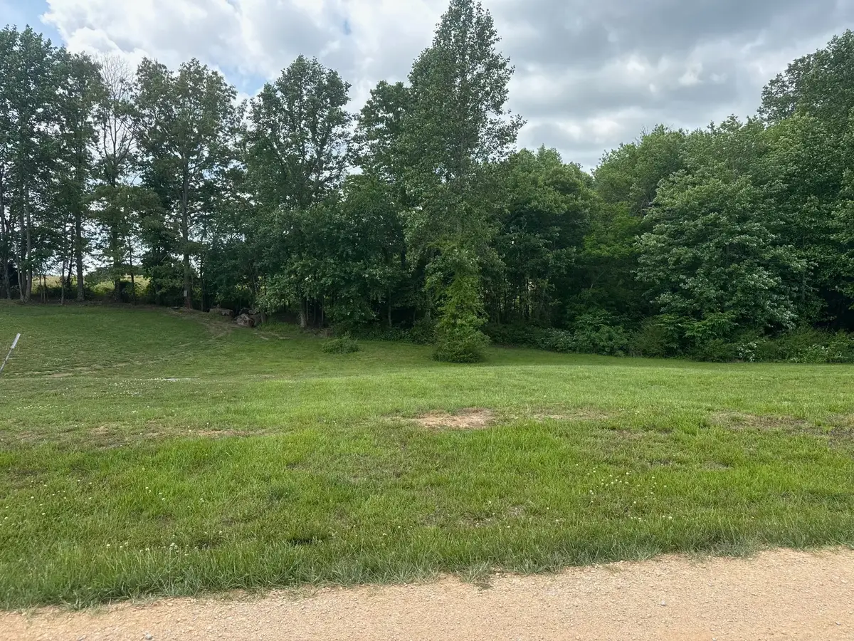 0 Michael Dr, Leoma, TN 38468 - #1