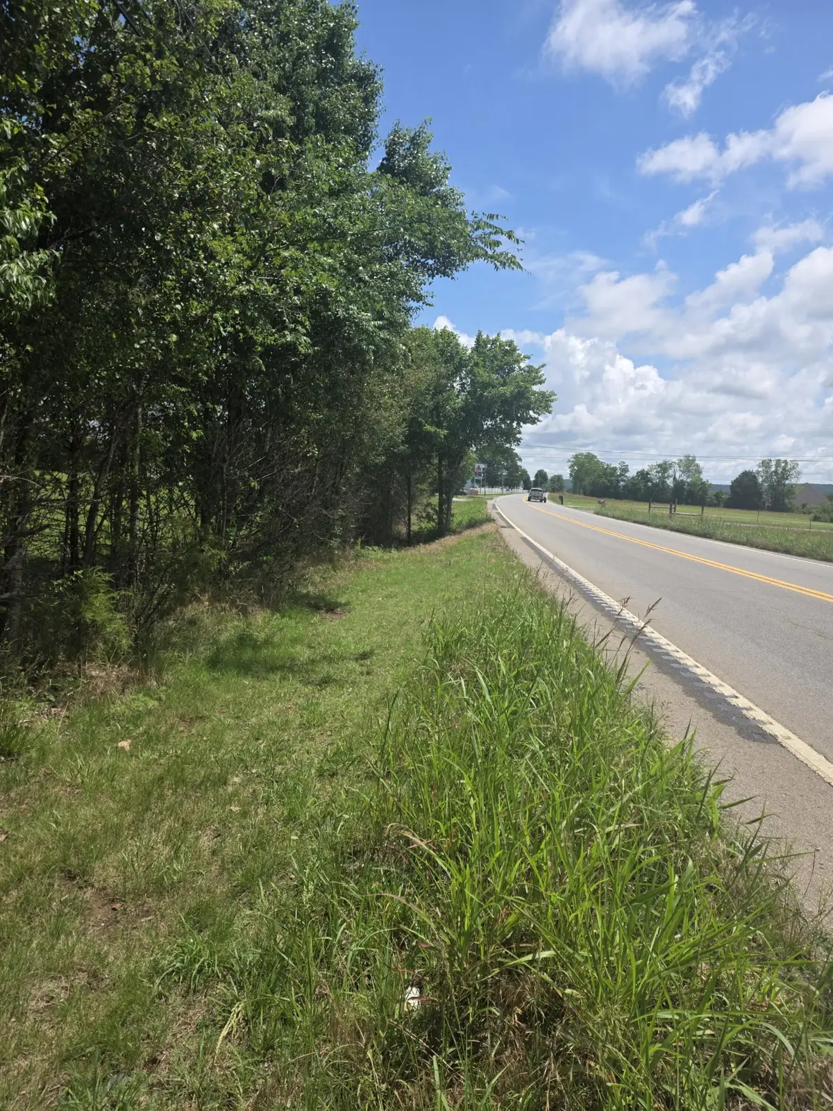 8373 Carthage Hwy, Lebanon, TN 37087 - #1