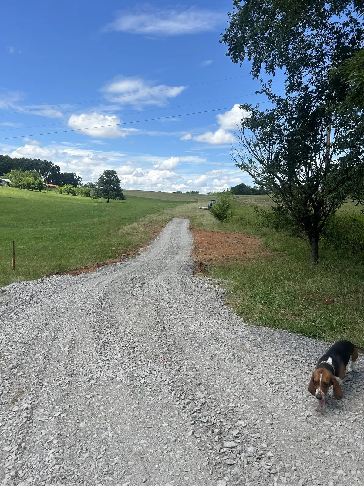 5960 Valley Rd, Springfield, TN 37172 - #1