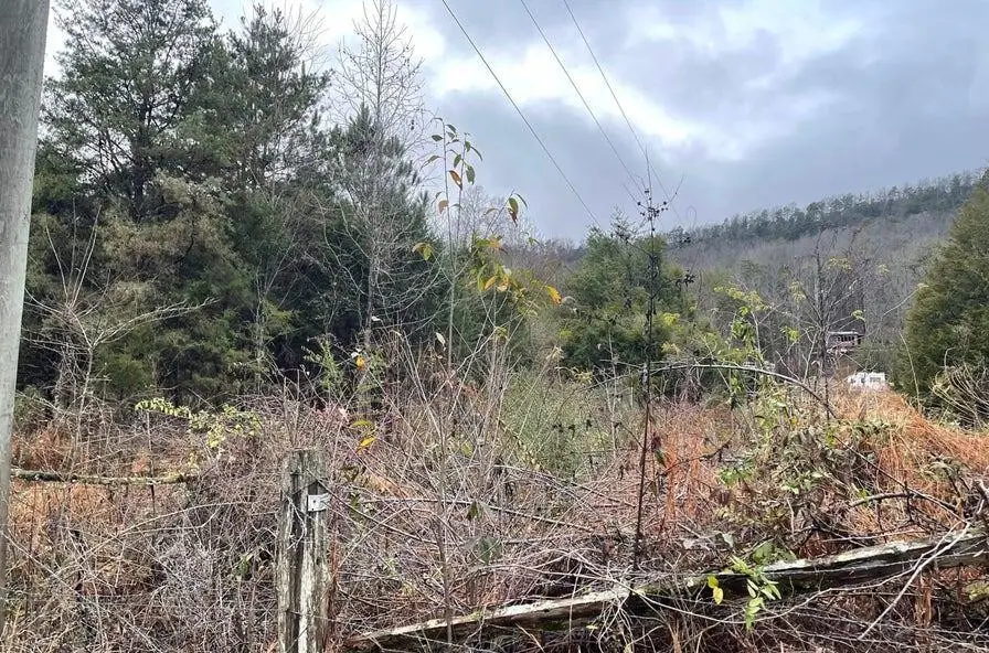 0 Reagan Valley Road, Madisonville, TN 37354 - #1