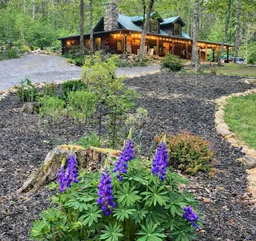 480 Holder Cemetery Road, Tellico Plains, TN 37385 - #2