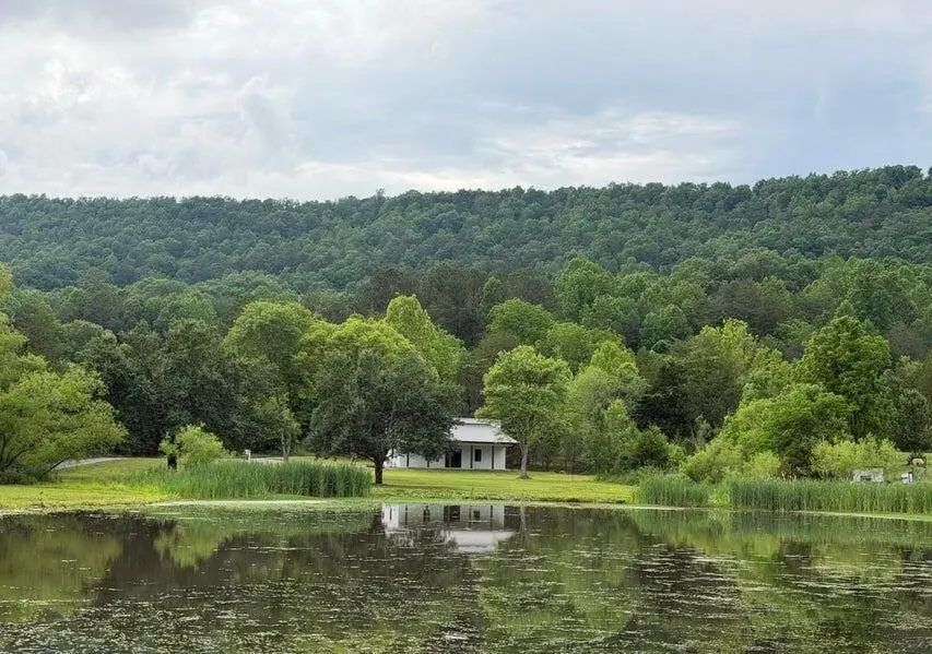 1483 Reagan Valley Road, Tellico Plains, TN 37385 - #1