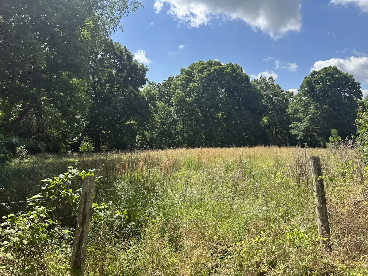 355 Albert Ivy Ln, Parsons, TN 38363 - #1