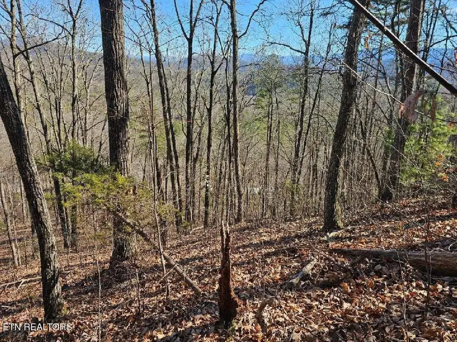 0 Red Rooster Way, Sevierville, TN 37876 - #2