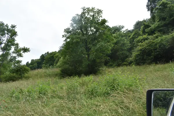 0 Pleasant Shade Hwy, Pleasant Shade, TN 37145