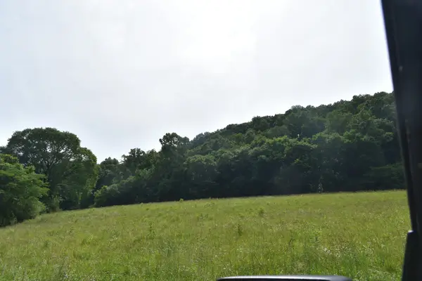 0 Pleasant Shade Hwy, Pleasant Shade, TN 37145