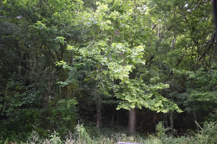 0 Pleasant Shade Hwy, Pleasant Shade, TN 37145 - #3