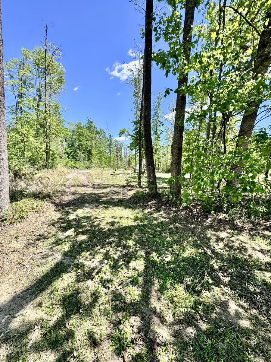 0 Annie Hollow Rd, Westmoreland, TN 37186 - #3