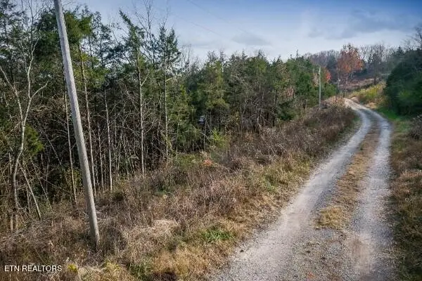 0 Martins Creek Hwy, Granville, TN 38564 - #3