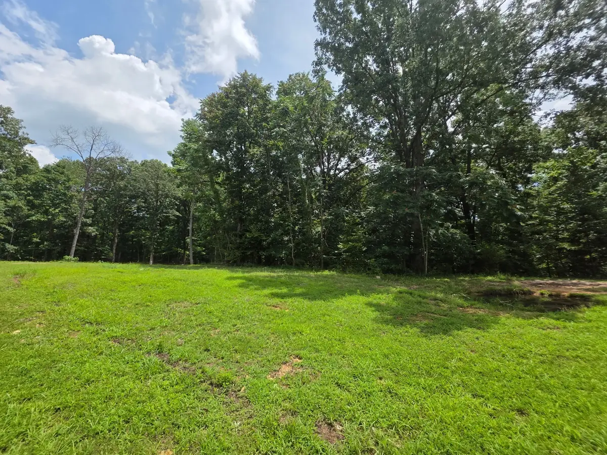 0 Baggett Hollow, Cunningham, TN 37052 - #1