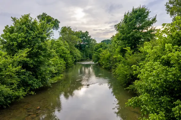 0 Ostella Rd, Cornersville, TN 37047