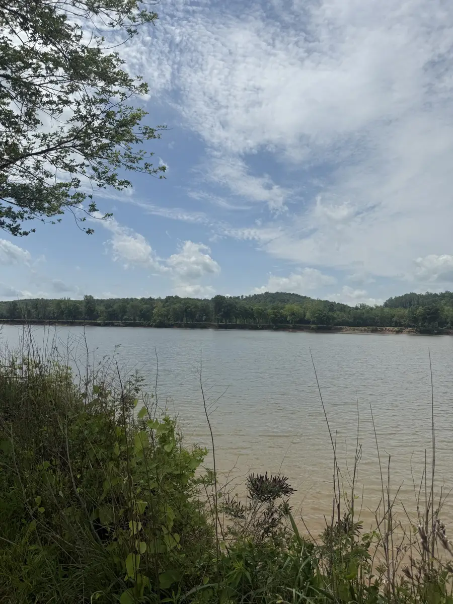 167 Hardin Bottom River Rd, Clifton, TN 38425 - #3