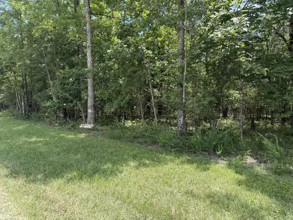 0 Long Branch Rd, Spencer, TN 38585