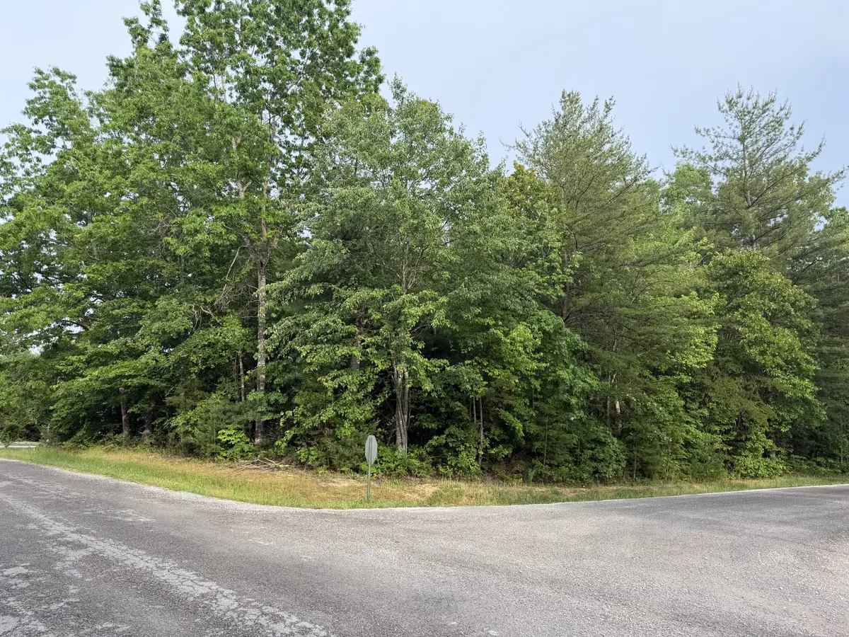 187 Natchez Cir, Crossville, TN 38558 - #1