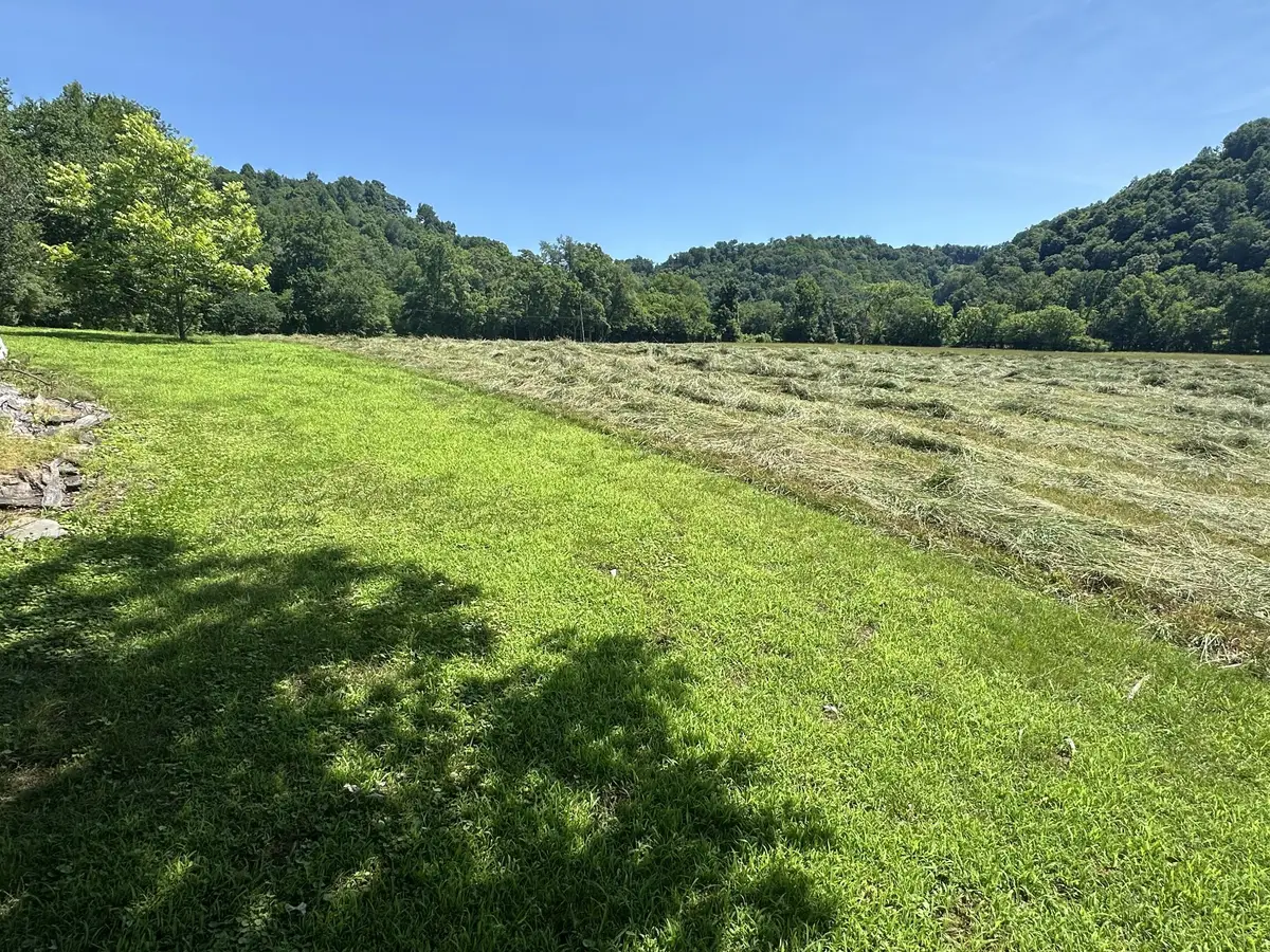 239 Rose Ln, Dixon Springs, TN 37057 - #1