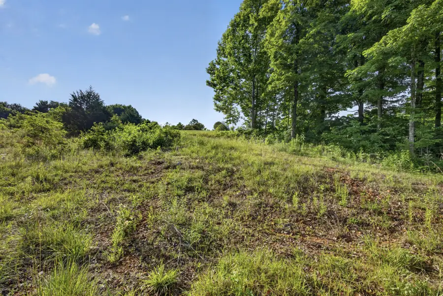 0 Hidden Cove Lane, Allons, TN 38541 - #3