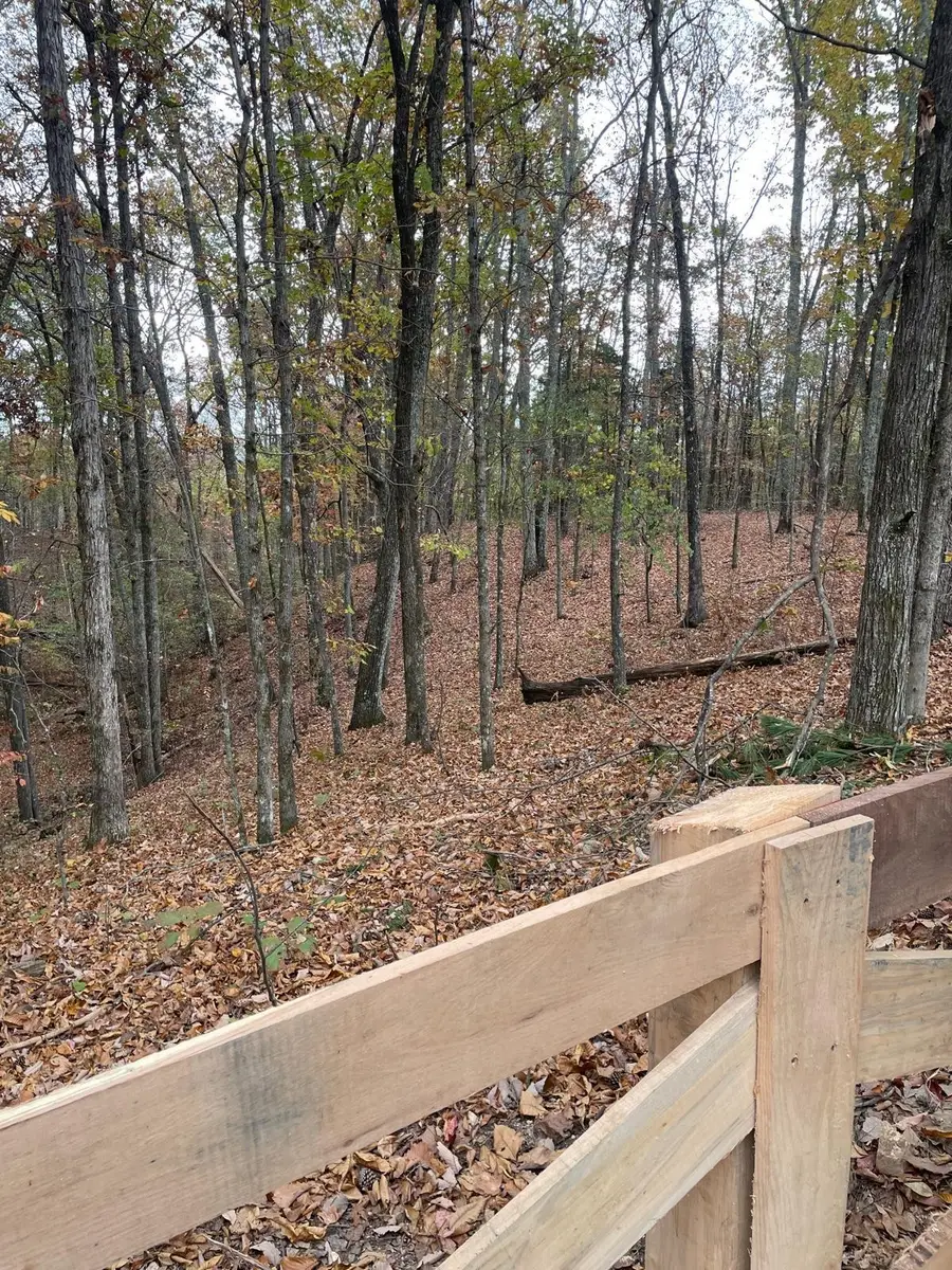 1132 Sneed Rd (lot 1 & 2) Road, Decatur, TN 37322 - #3