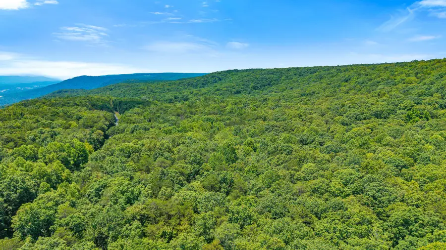4104 Windridge Drive, Dunlap, TN 37327 - #3