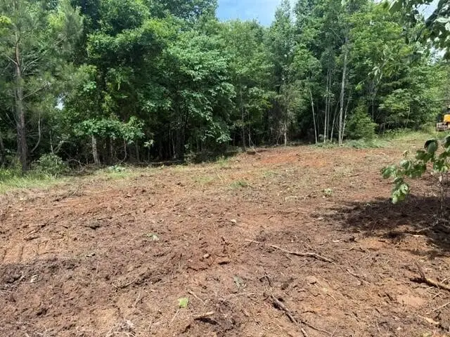 10775 S Pittsburg Mountain Road, South Pittsburg, TN 37380 - #2