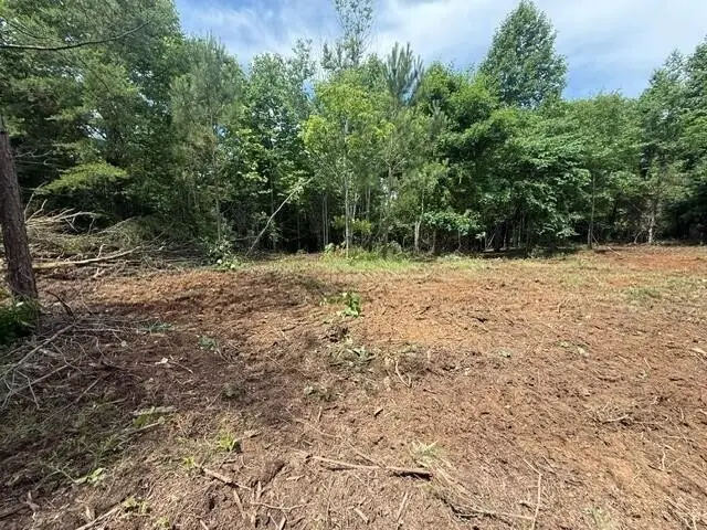 10775 S Pittsburg Mountain Road, South Pittsburg, TN 37380 - #3