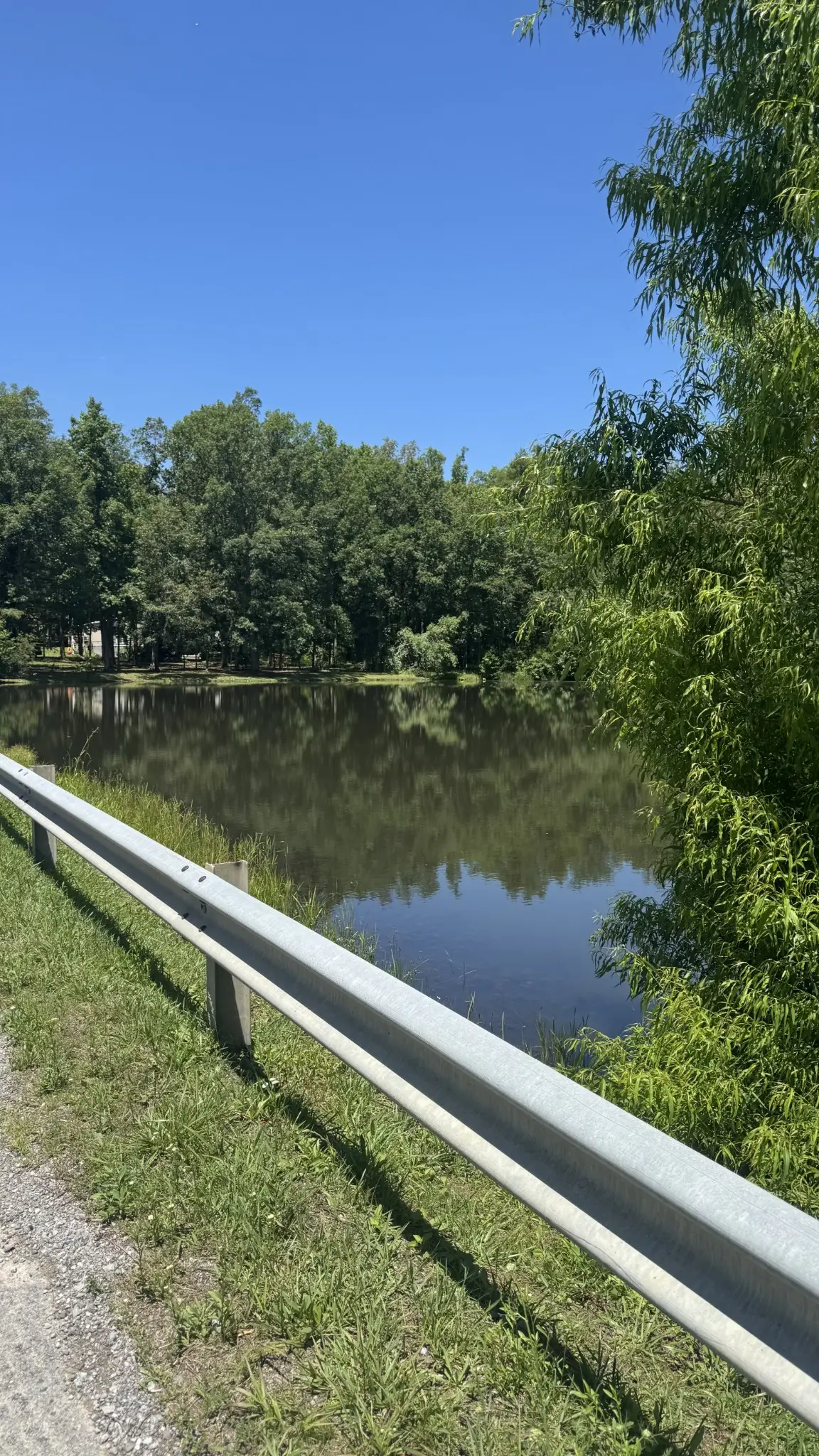 0 Lakewood Drive, Beechgrove, TN 37018 - #1