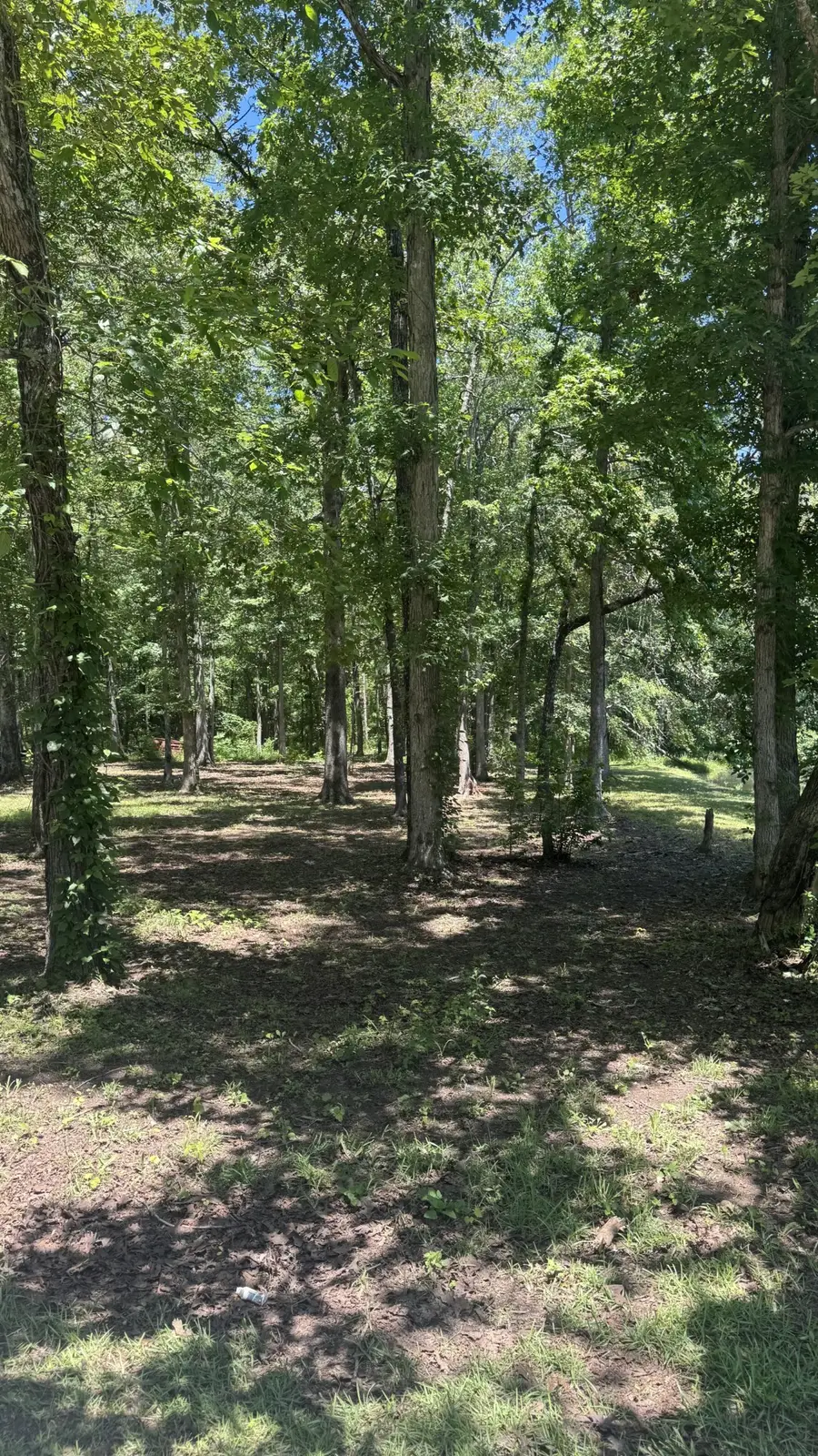 0 Lakewood Drive, Beechgrove, TN 37018 - #3