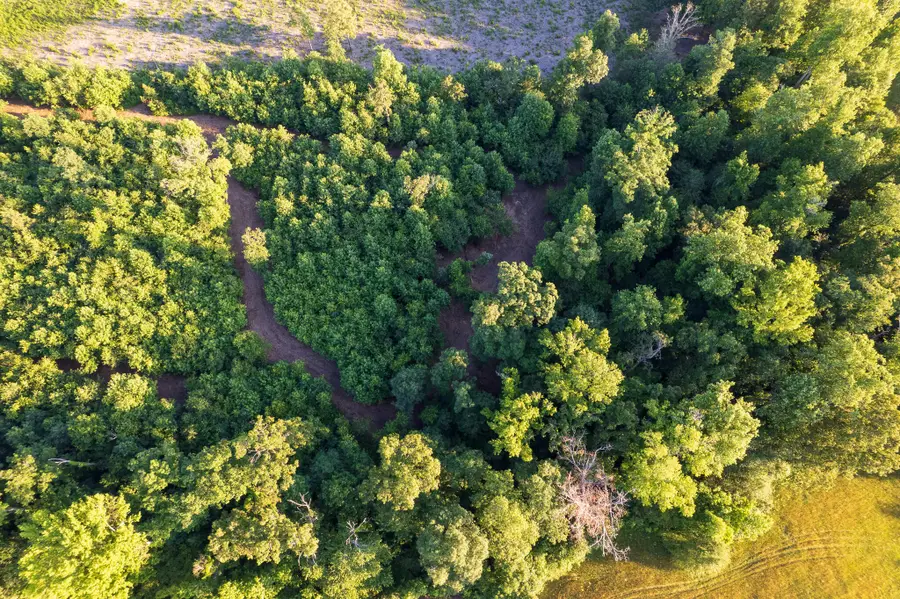 0 Hwy 301, Trenton, GA 30752 - #3