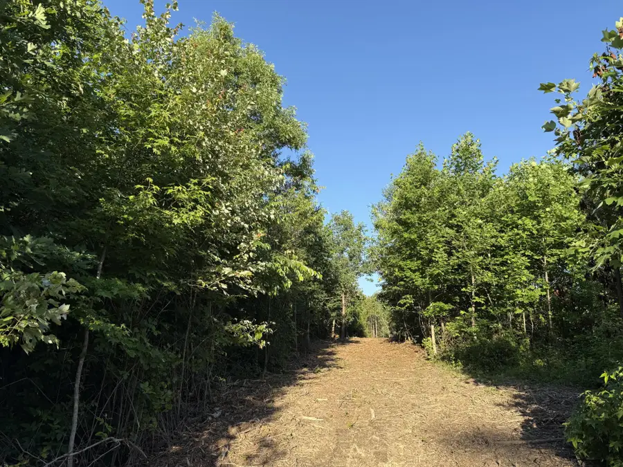 0 Hwy 301, Trenton, GA 30752 - #2