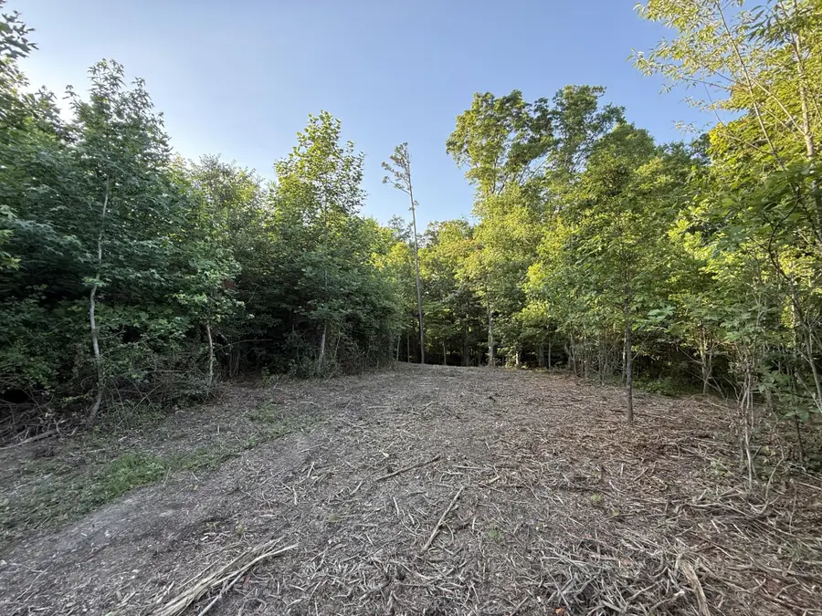 0 Hwy 301, Trenton, GA 30752 - #3